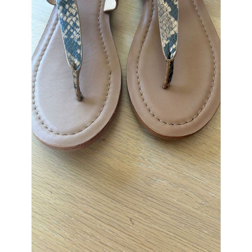 FYRE TAYLOR SANDAL, Tan Snakeskin, Size 9, NWOT - Picture 8 of 9